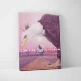 Don't Be a Pigeon If You Were Born To Be An Eagle II