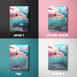 NÉ POUR BRILLER - SEAWORLD II