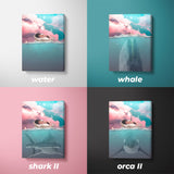 NÉ POUR BRILLER - SEAWORLD II