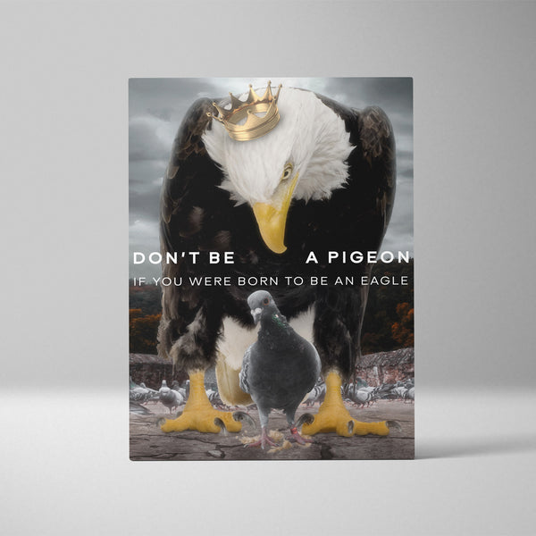 Ne soyez pas un pigeon si vous êtes né pour être un aigle - KINGDOM