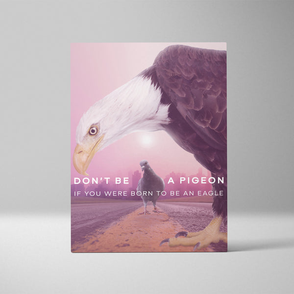 Don't Be a Pigeon If You Were Born To Be An Eagle II