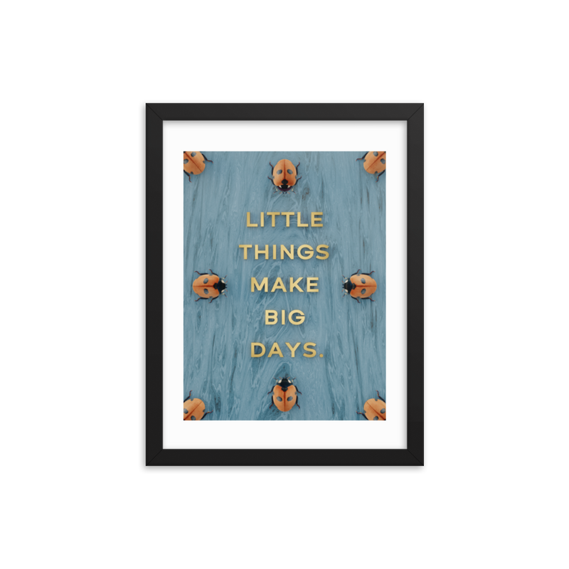 LADYBUG QUOTES WALL ART