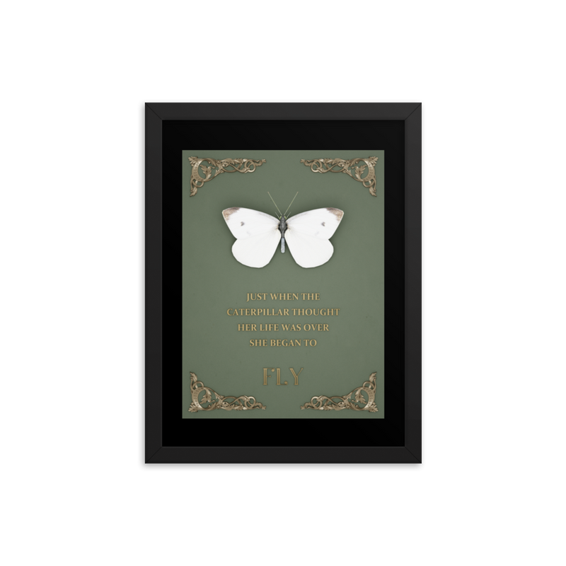 BUTTERFLY INSPIRATIONAL QUOTES WALL ART