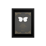 BUTTERFLY INSPIRATIONAL QUOTES WALL ART