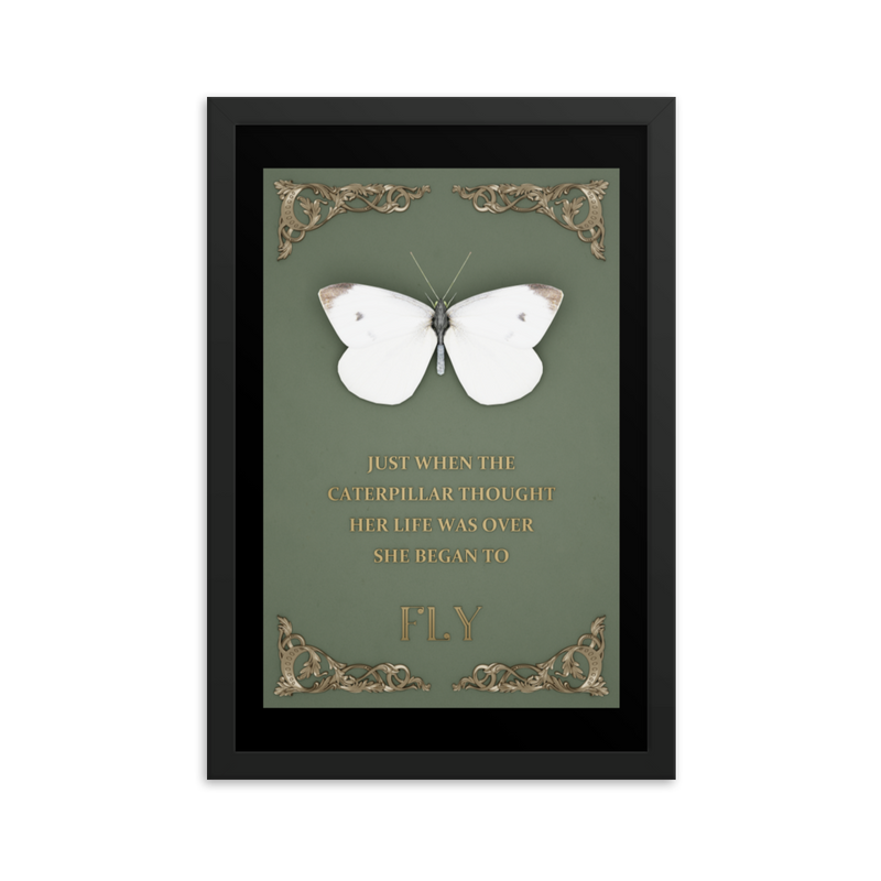 BUTTERFLY INSPIRATIONAL QUOTES WALL ART