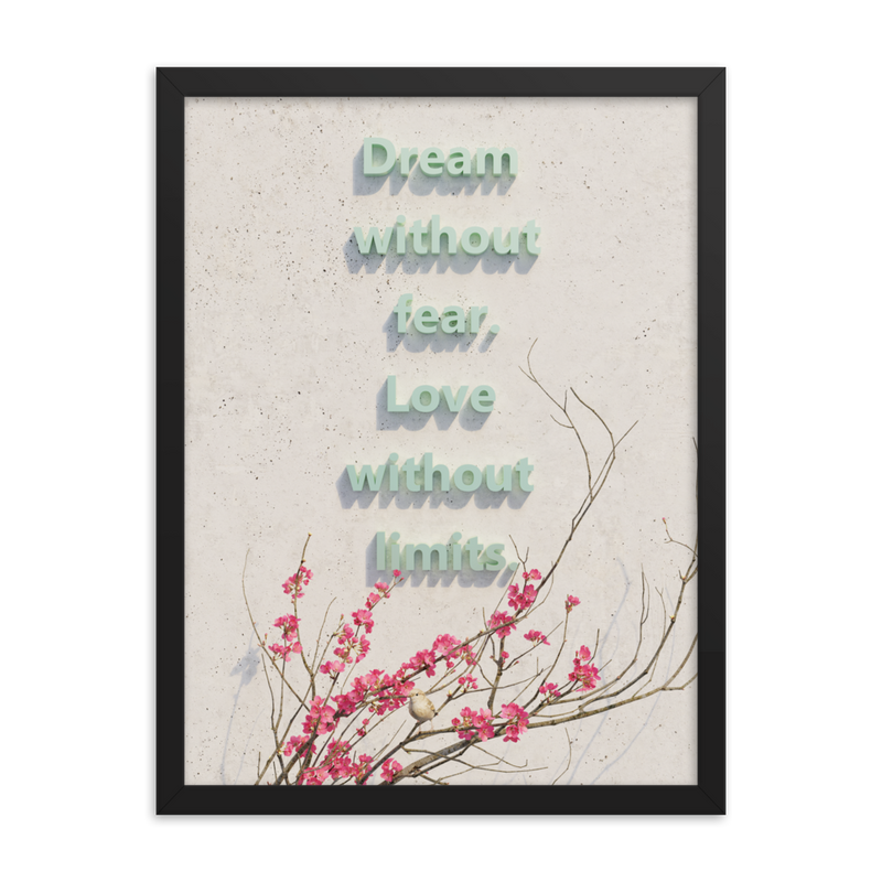 DREAM QUOTES HOME DECOR