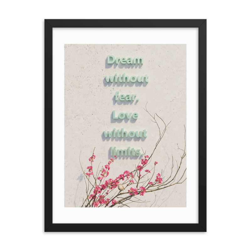 DREAM QUOTES HOME DECOR