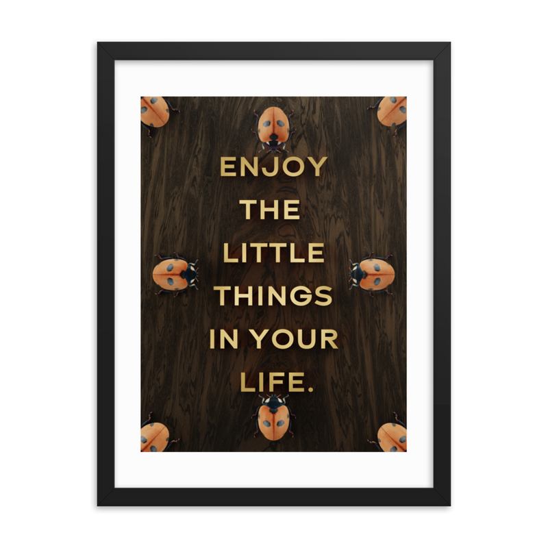 LADYBUG QUOTES WALL ART