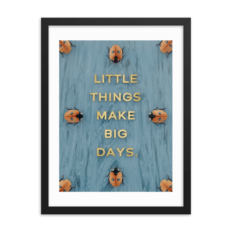 LADYBUG QUOTES WALL ART