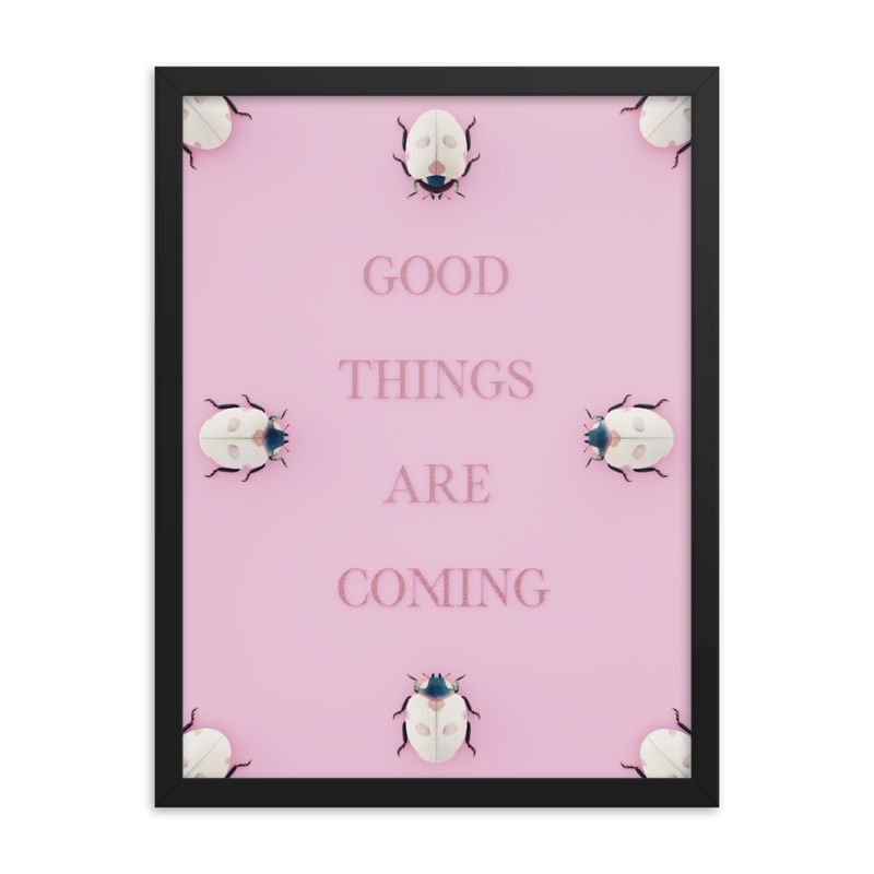 LADYBUG QUOTES WALL ART