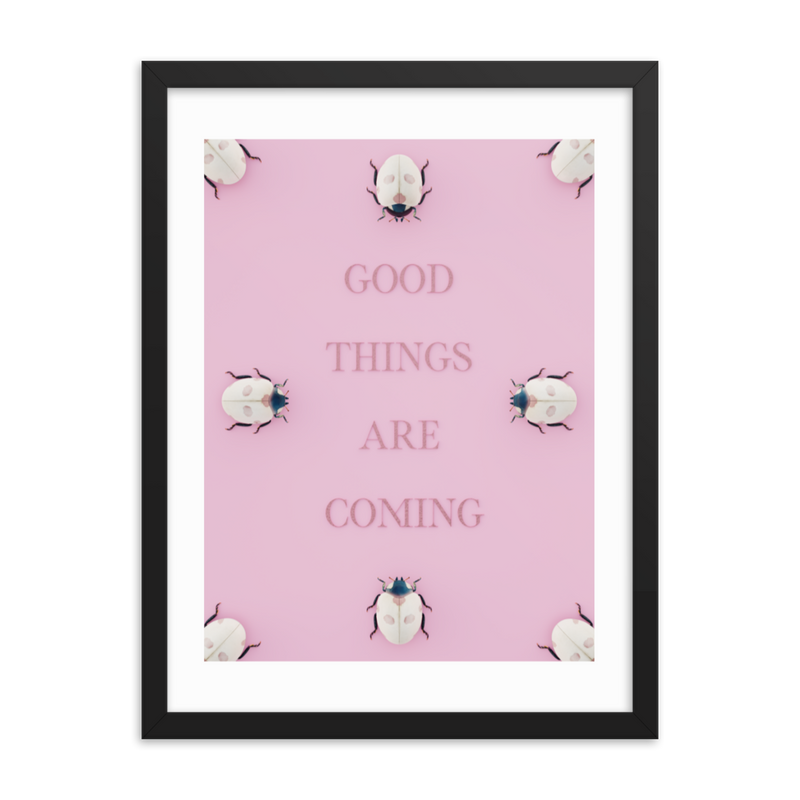 LADYBUG QUOTES WALL ART