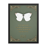 butterfly inspirational quotes wall art