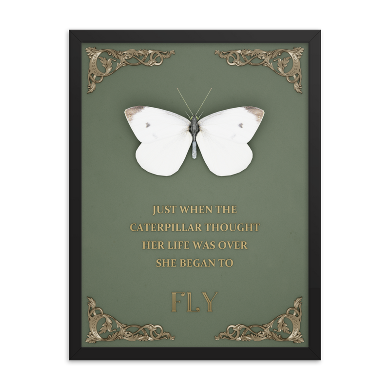 butterfly inspirational quotes wall art