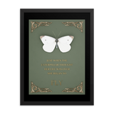 BUTTERFLY INSPIRATIONAL QUOTES WALL ART