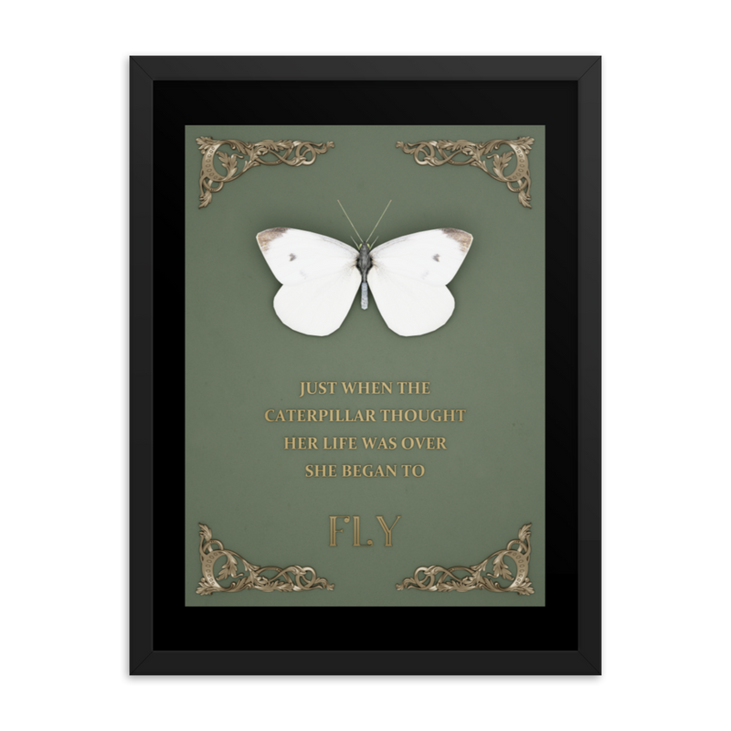 BUTTERFLY INSPIRATIONAL QUOTES WALL ART