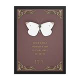 BUTTERFLY INSPIRATIONAL QUOTES WALL ART