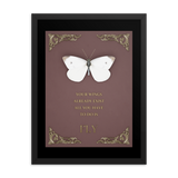 BUTTERFLY INSPIRATIONAL QUOTES WALL ART