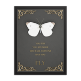 BUTTERFLY INSPIRATIONAL QUOTES WALL ART