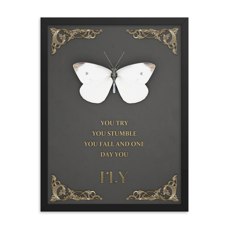 BUTTERFLY INSPIRATIONAL QUOTES WALL ART