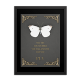 BUTTERFLY INSPIRATIONAL QUOTES WALL ART