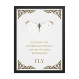 BUTTERFLY INSPIRATIONAL QUOTES WALL ART