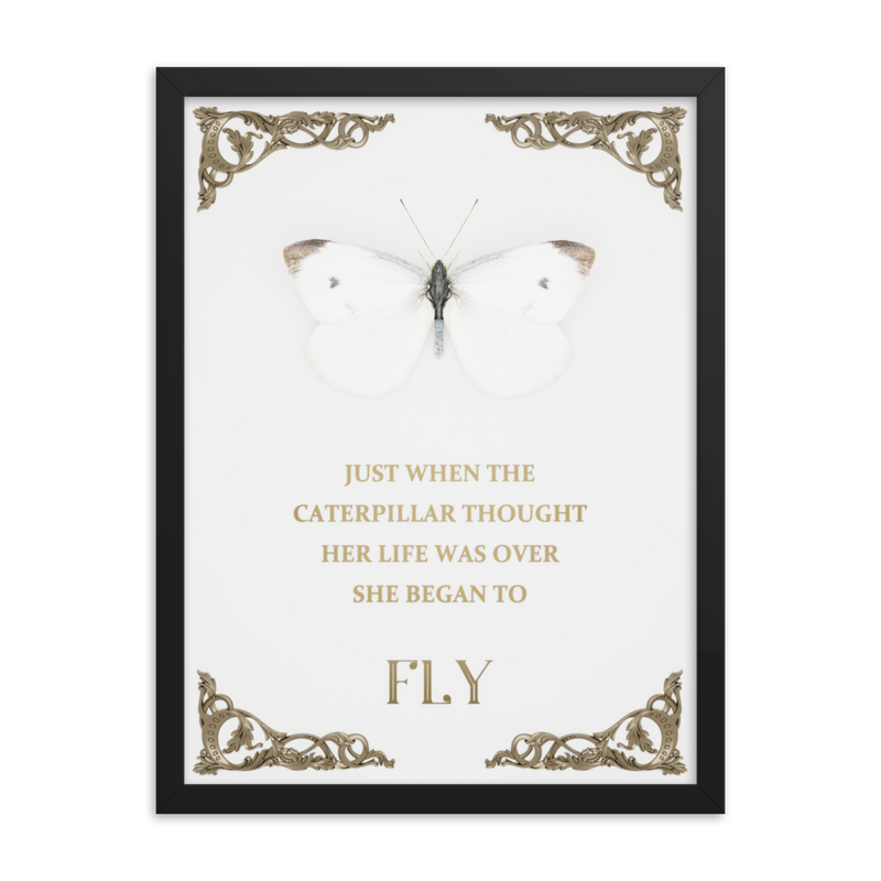 BUTTERFLY INSPIRATIONAL QUOTES WALL ART