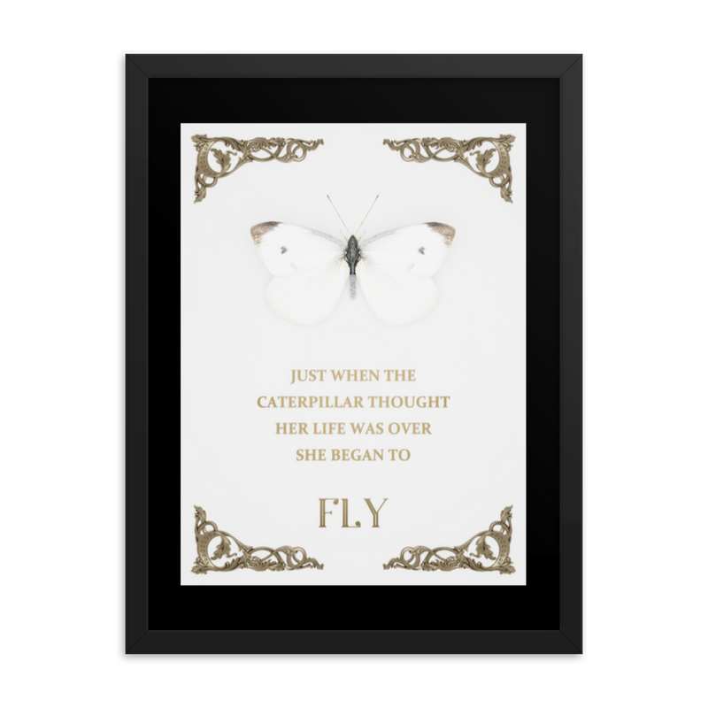 BUTTERFLY INSPIRATIONAL QUOTES WALL ART