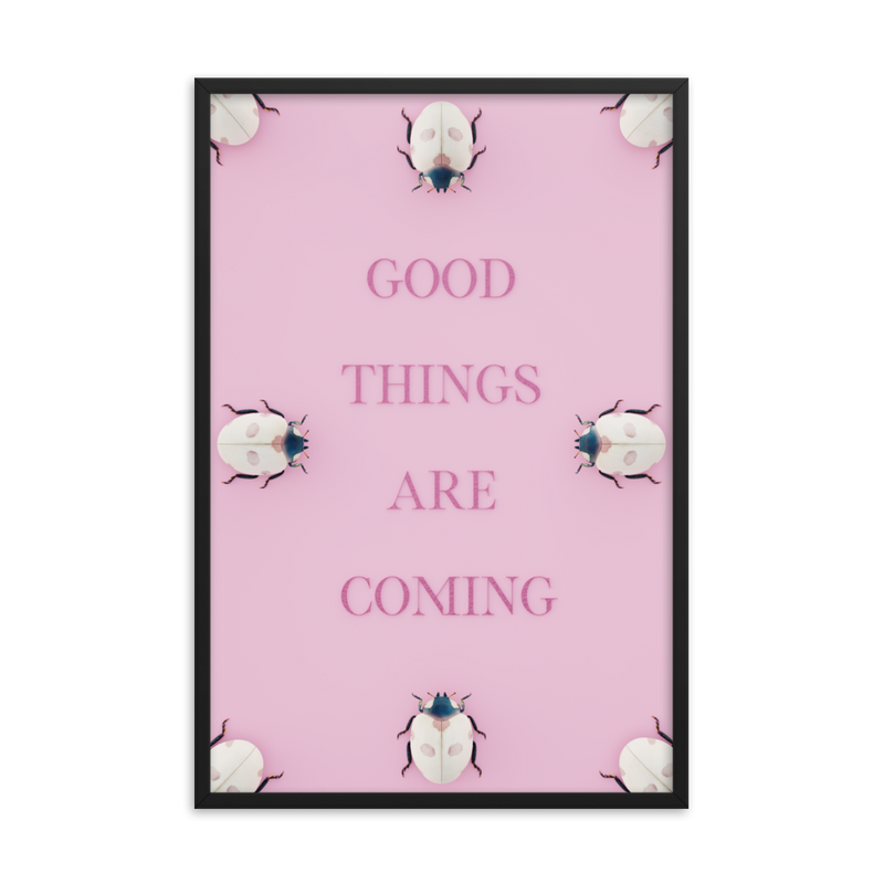 LADYBUG QUOTES WALL ART