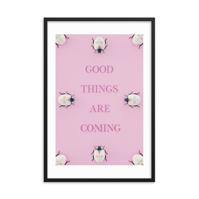 LADYBUG QUOTES WALL ART