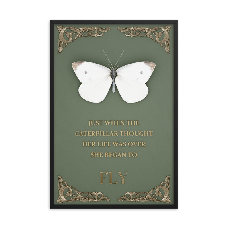 butterfly inspirational quotes wall art