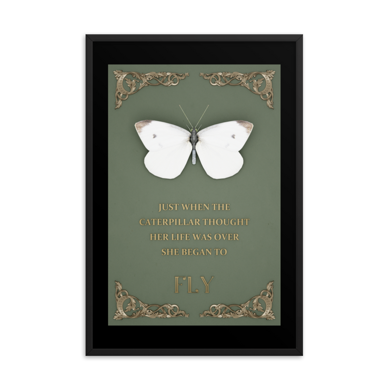 BUTTERFLY INSPIRATIONAL QUOTES WALL ART