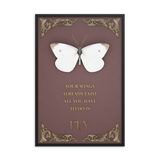 BUTTERFLY INSPIRATIONAL QUOTES WALL ART