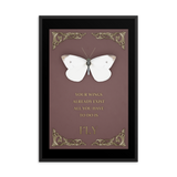 BUTTERFLY INSPIRATIONAL QUOTES WALL ART