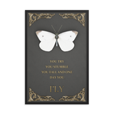 BUTTERFLY INSPIRATIONAL QUOTES WALL ART