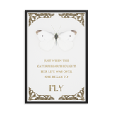 BUTTERFLY INSPIRATIONAL QUOTES WALL ART