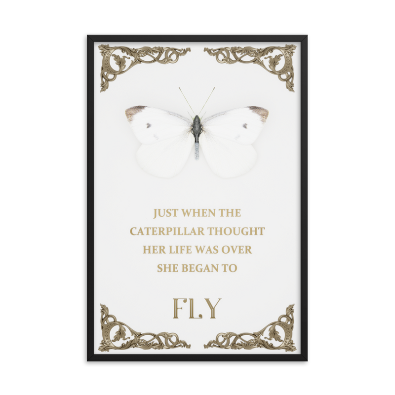 BUTTERFLY INSPIRATIONAL QUOTES WALL ART