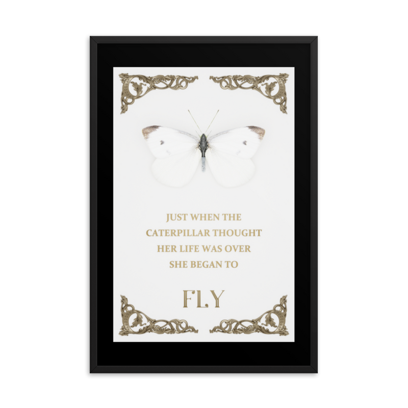 BUTTERFLY INSPIRATIONAL QUOTES WALL ART