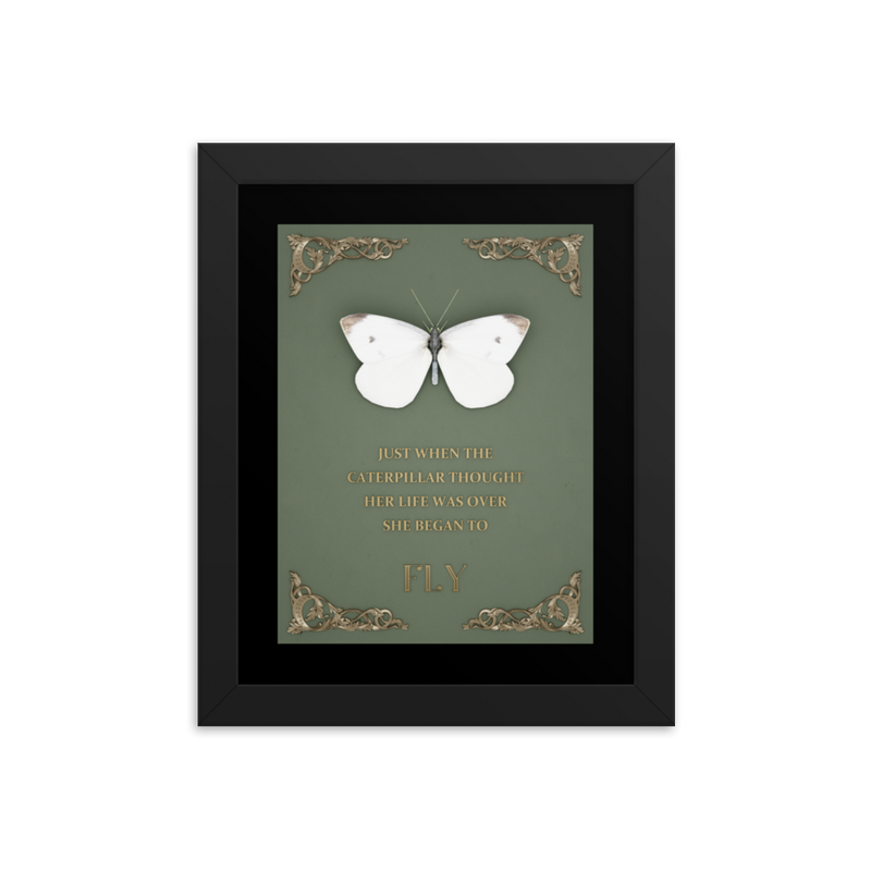 BUTTERFLY INSPIRATIONAL QUOTES WALL ART