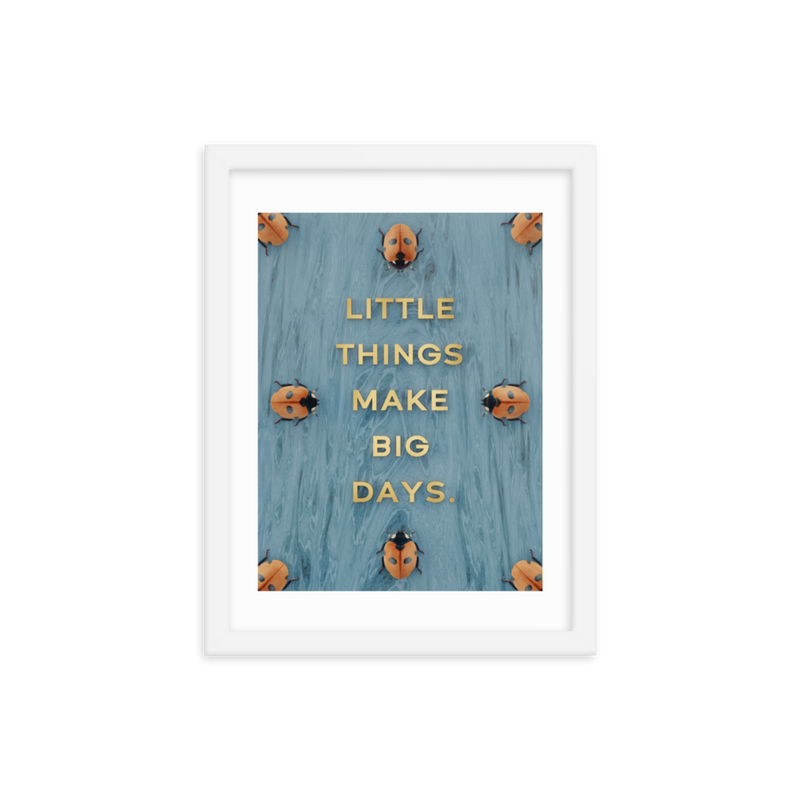 LADYBUG QUOTES WALL ART