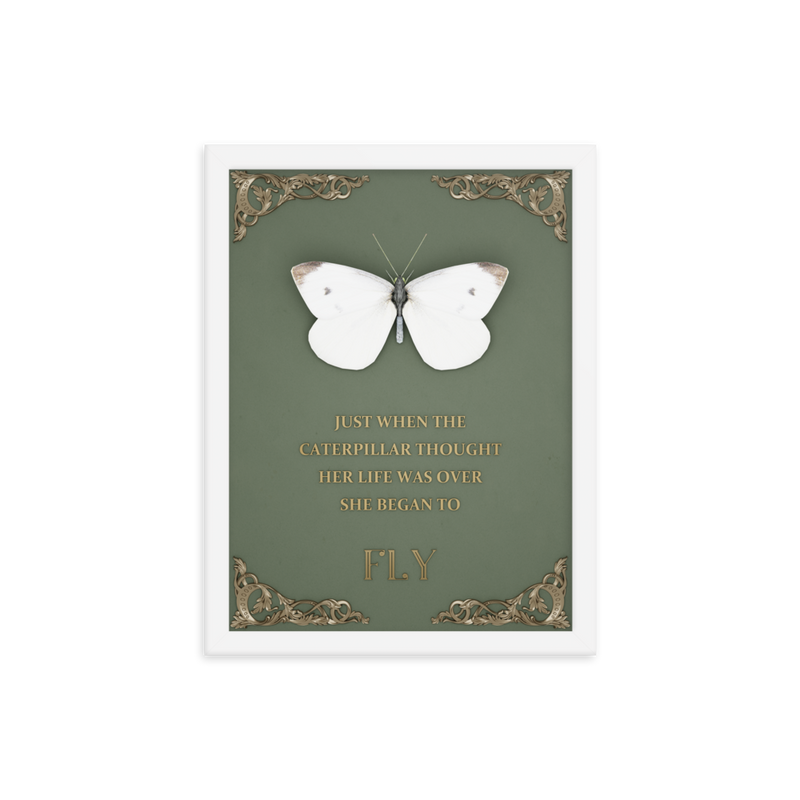 butterfly inspirational quotes wall art