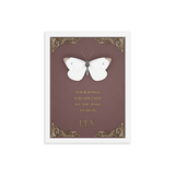 BUTTERFLY INSPIRATIONAL QUOTES WALL ART