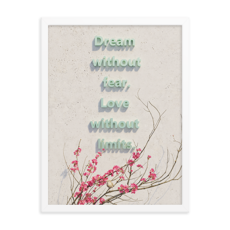 DREAM QUOTES HOME DECOR