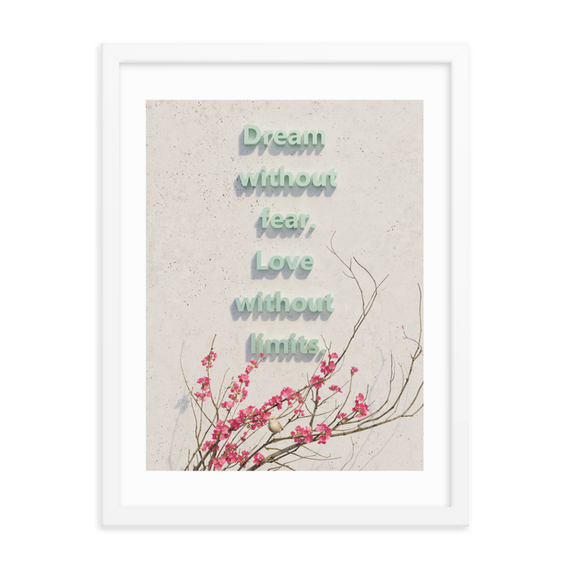 DREAM QUOTES HOME DECOR