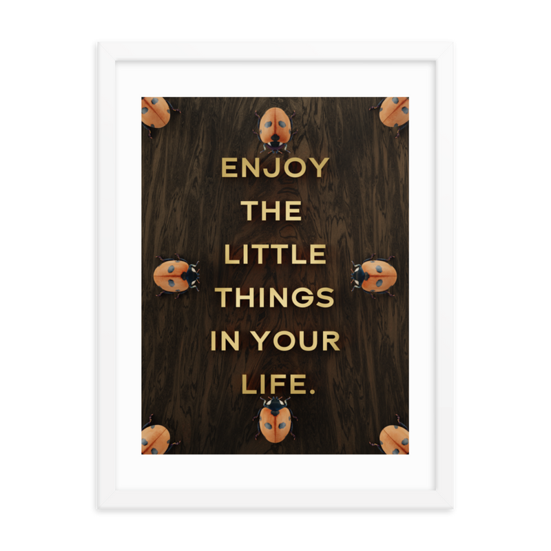 LADYBUG QUOTES WALL ART