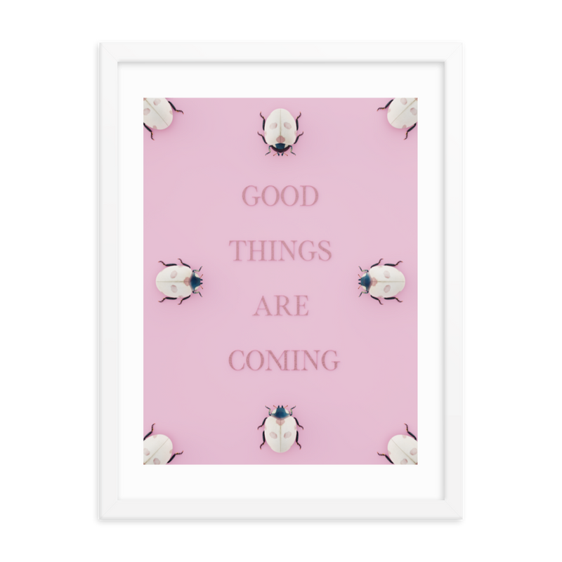 LADYBUG QUOTES WALL ART