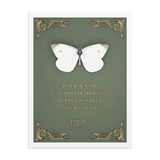 butterfly inspirational quotes wall art