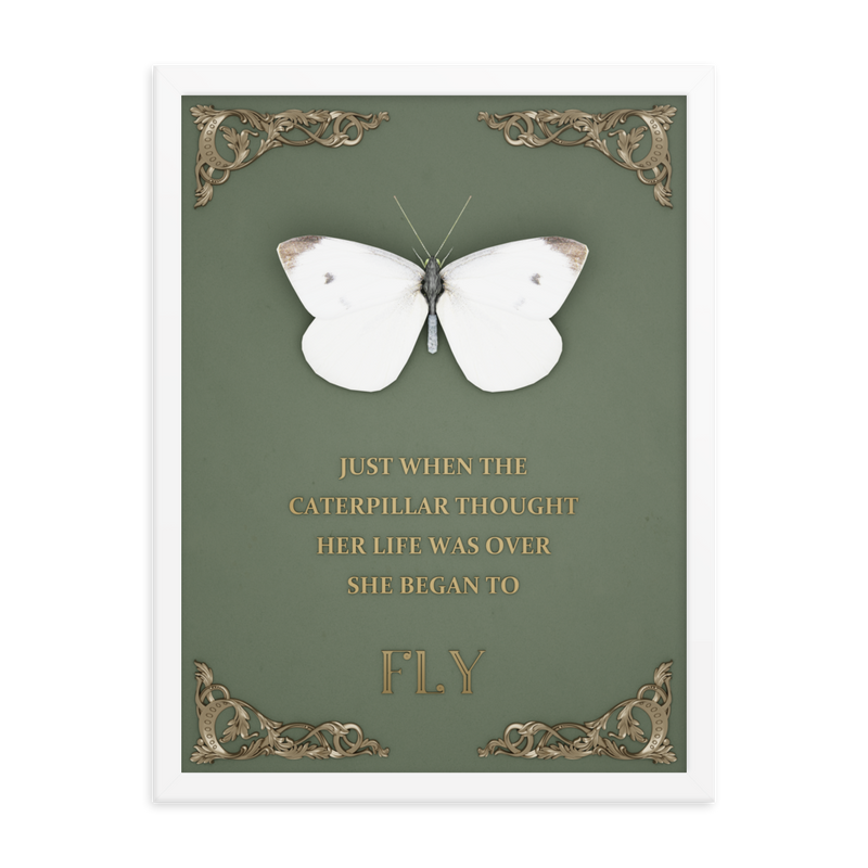 butterfly inspirational quotes wall art