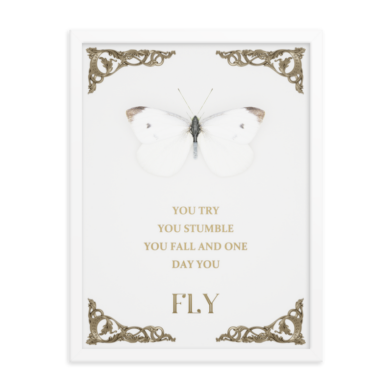 BUTTERFLY INSPIRATIONAL QUOTES WALL ART