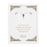 BUTTERFLY INSPIRATIONAL QUOTES WALL ART