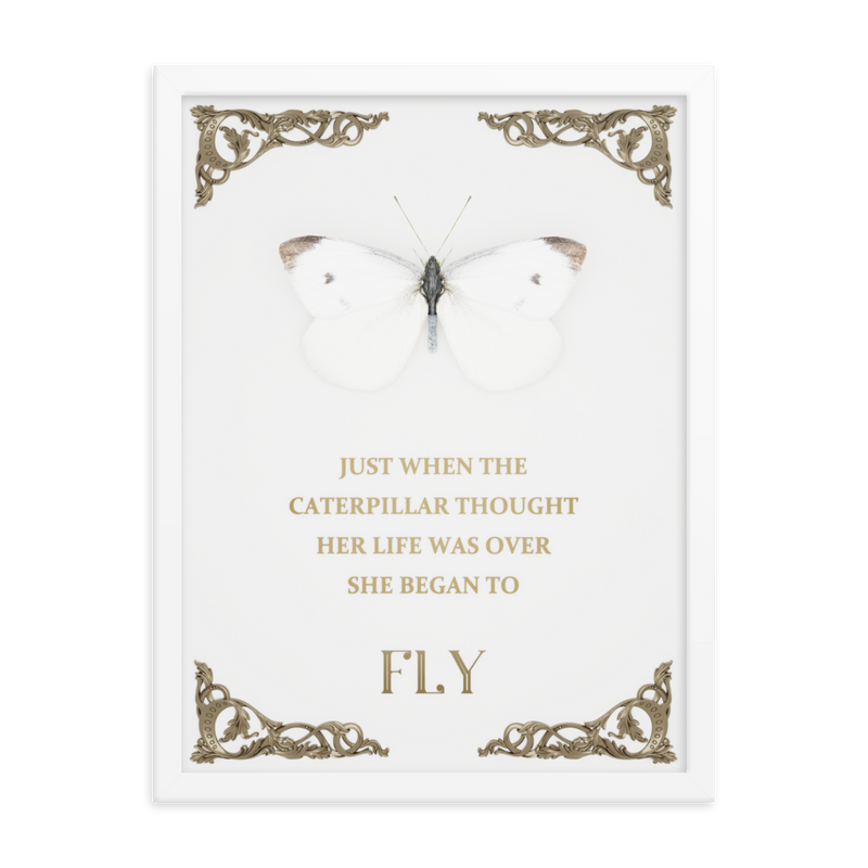 BUTTERFLY INSPIRATIONAL QUOTES WALL ART